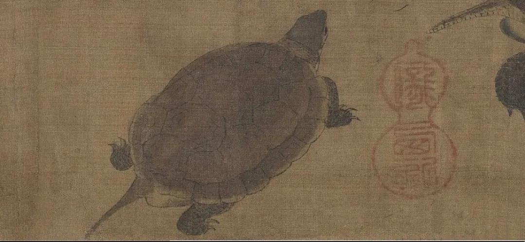 两种国龟的悲歌——古时的山泽常客到现今的附录稀客