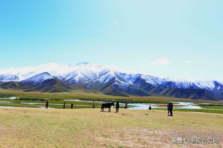 有了这攻略，自驾*藏西**游省心很多