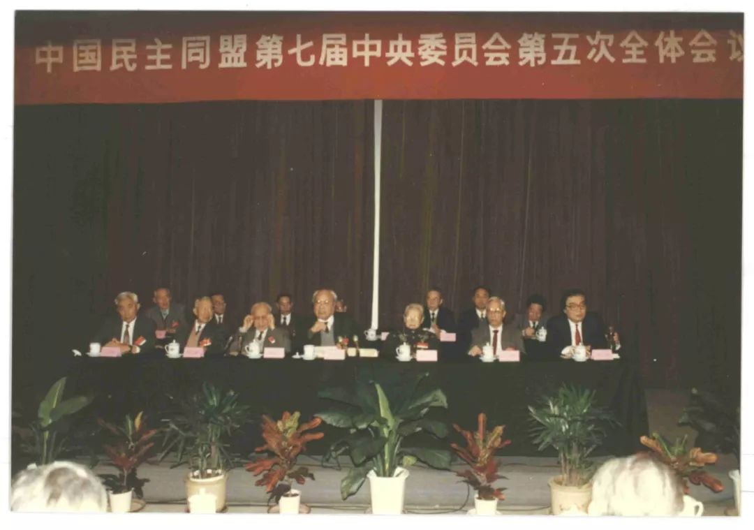 深切缅怀|丁石孙：既然当了民盟中央主席，就要尽己之力把它当好