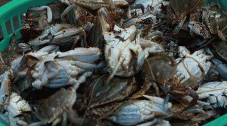 海蓝媲美三亚,福建这个被低估的宝藏地,夏天去太舒服了