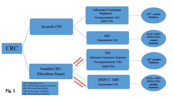 结直肠癌基因治疗之路,结直肠癌风险基因评估