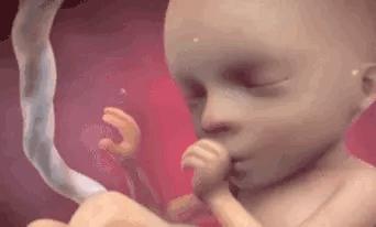 胎儿一般多大胎动比较明显,几个月胎儿可以明显看出胎动