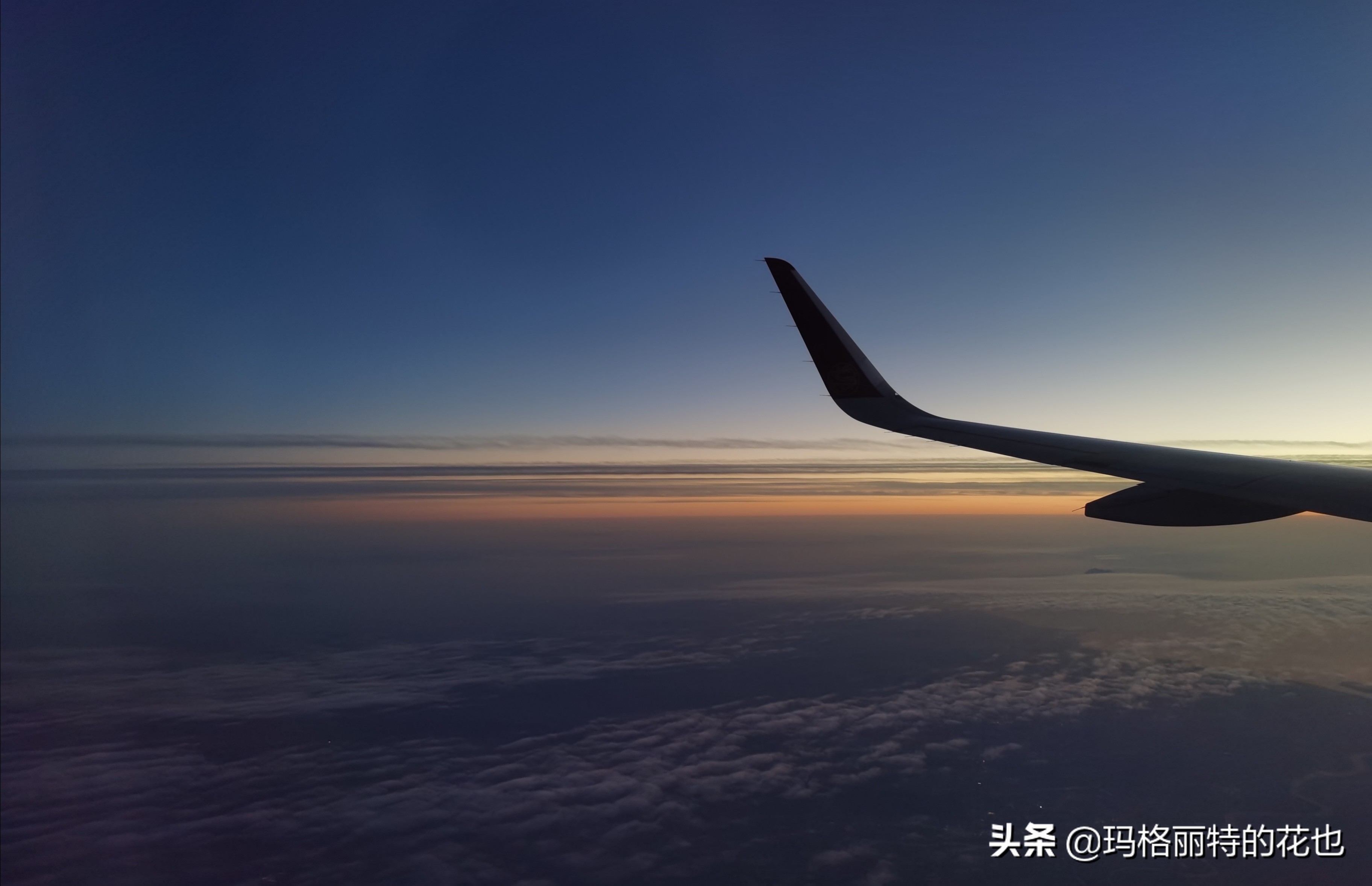 萁田森林公园和大阪的省钱之旅|行摄日本