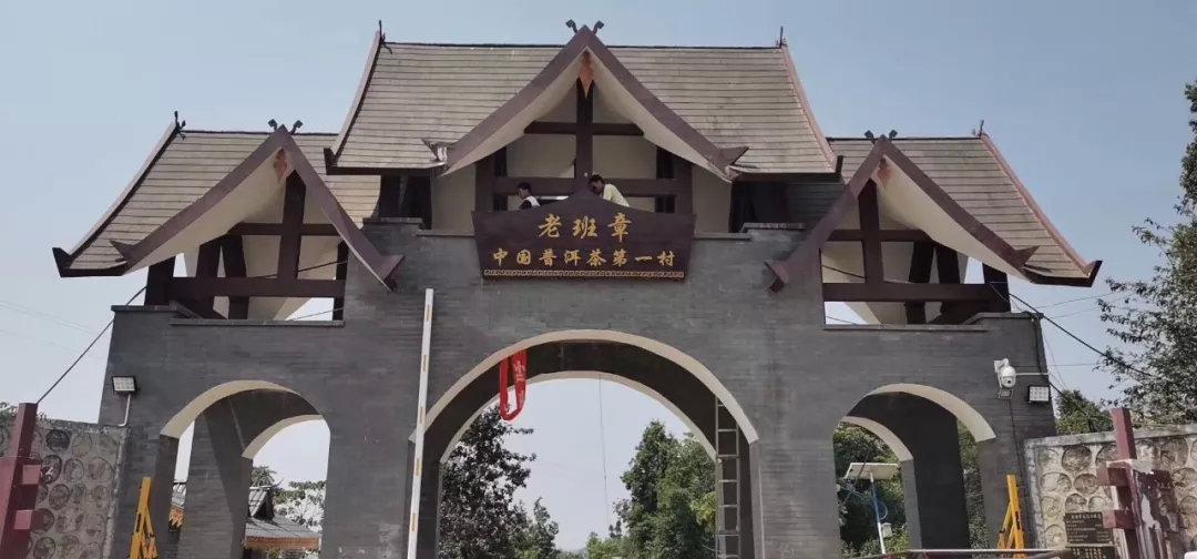 十大名寨普洱茶排名,十大普洱茶排行榜最新