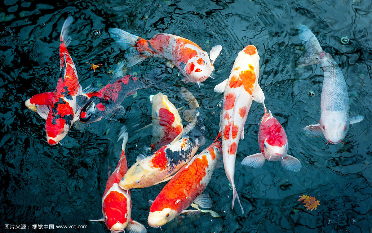 竞彩足球彩民,足球竞彩最容易中的买法