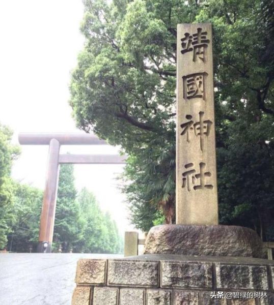 替日军暴行道歉,关于日本在华的暴行有何感想