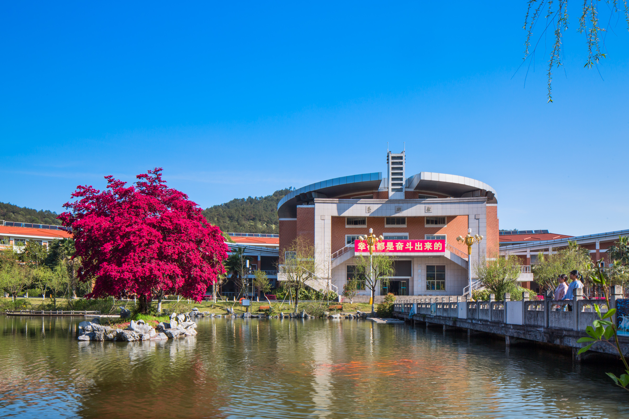 满园春色关不住,义乌中学内的一株红花檵木赢得老师纷纷赋诗赞美