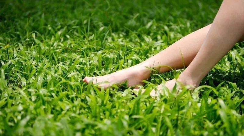 生存小技巧钻木取火,荒野生存取水技巧