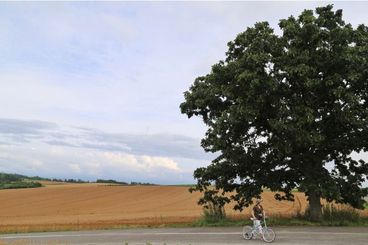 北海道七月的样子,北海道7月