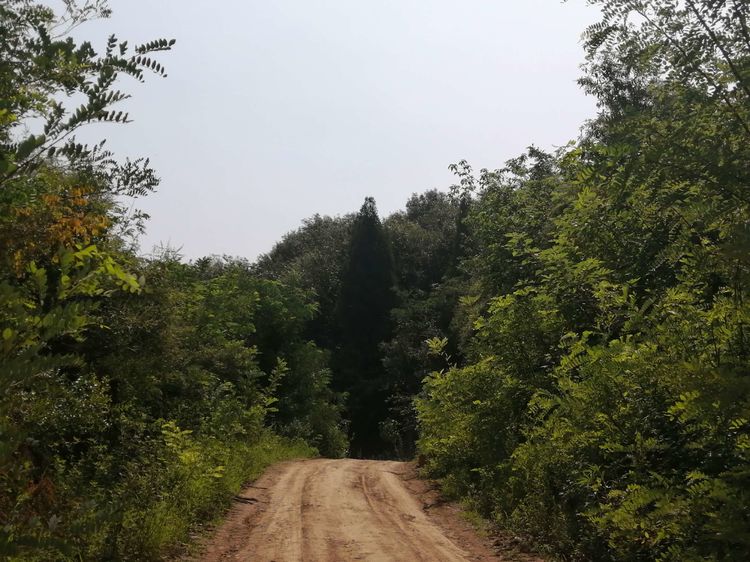 国家级传统村落千年古村,洛阳土古洞村落