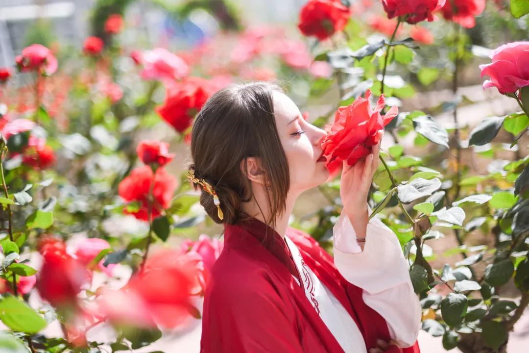 又刷屏了!高新这片花海,惊艳你的朋友圈!