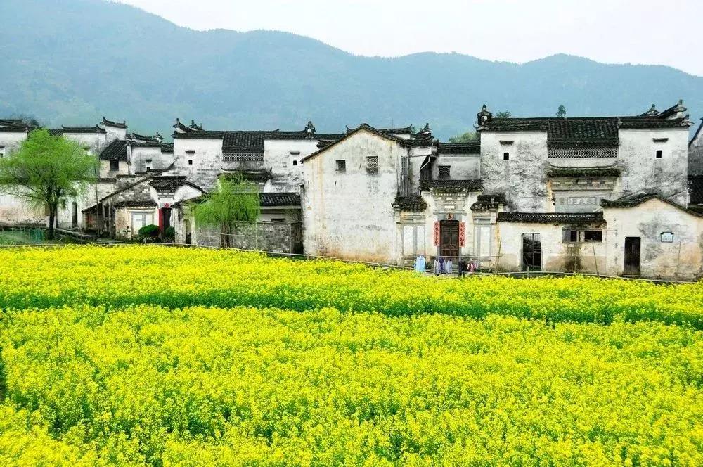 人品差的人再努力也无用,人品不好的人再努力也没有用