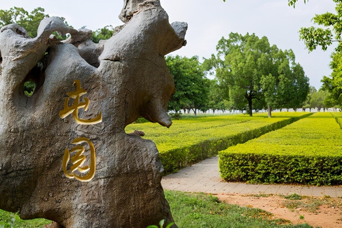 哈弗m6plus2021款手动豪华版,23款哈弗m6plus沉浸式体验