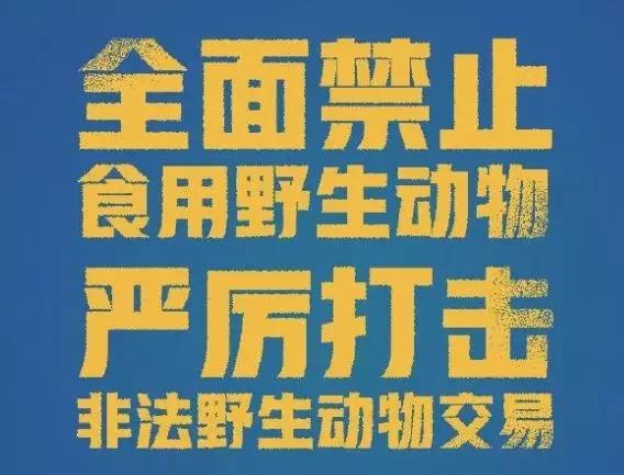 严打非法经营野生动物,贩卖野生保护动物如何处罚