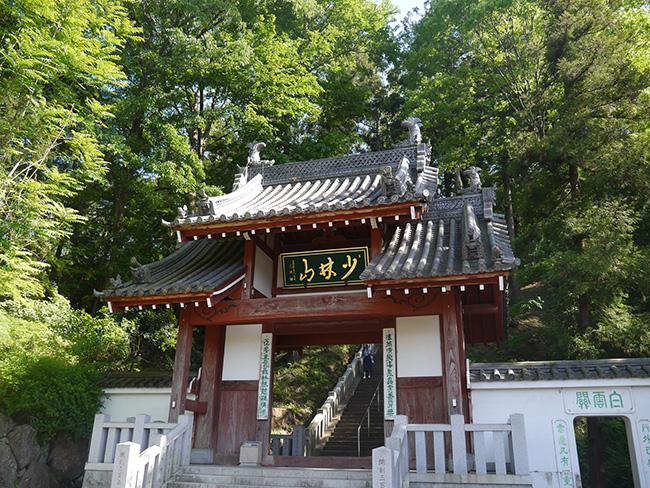 达摩玩偶,达摩毛绒玩偶