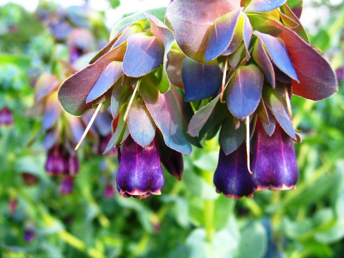 打动人心的走心句子语录,抚慰人心的句子句句透彻值得分享