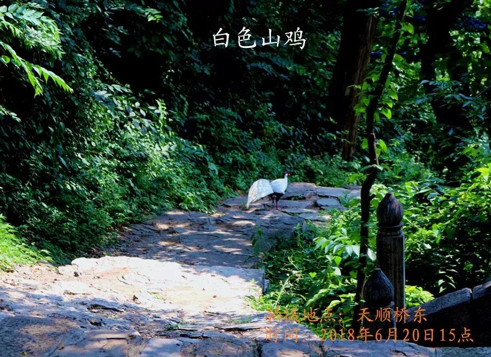 临朐石门坊风景区介绍视频,临朐石门坊风景区海拔