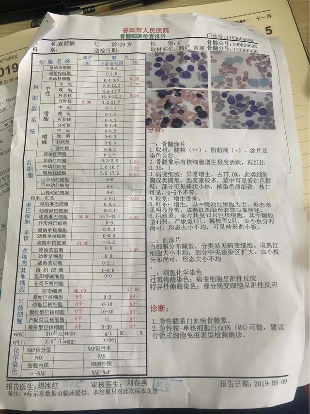 得了白血病不想动吗,白血病查出20天怎么就去世了