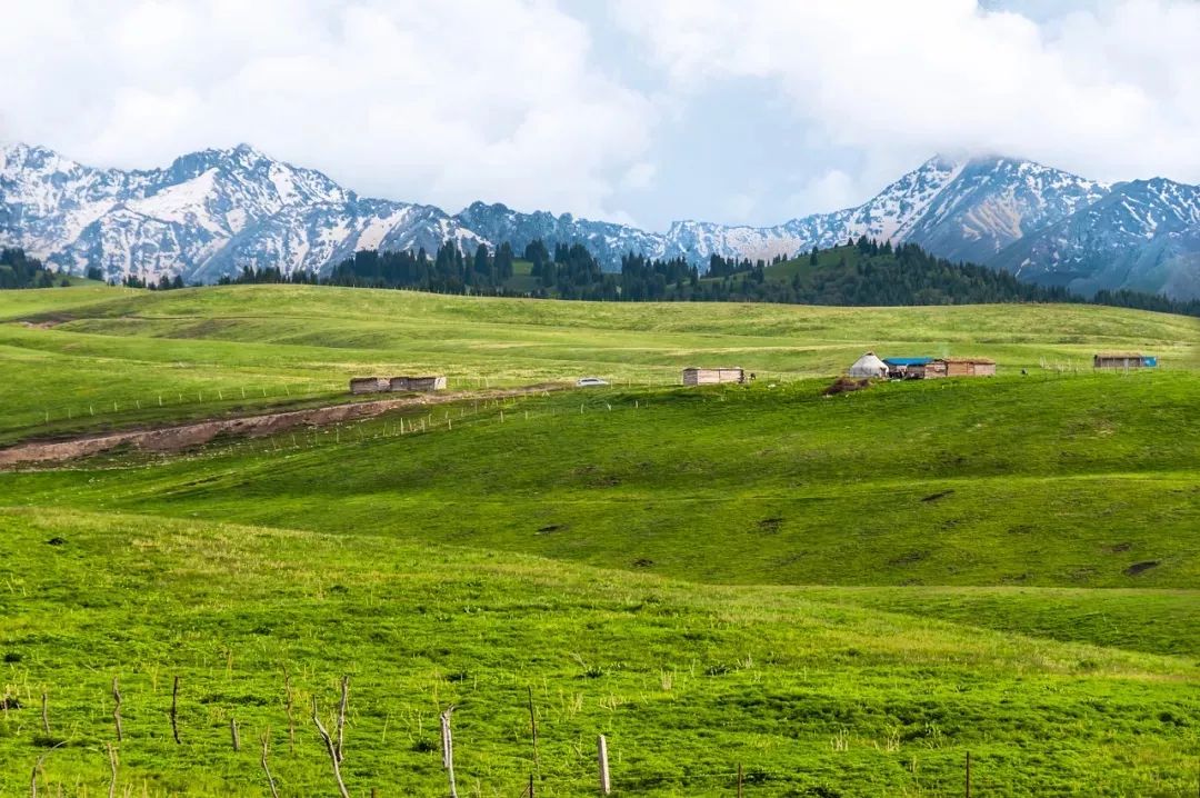 六月的北疆哪些地方值得去,六月的北疆解说