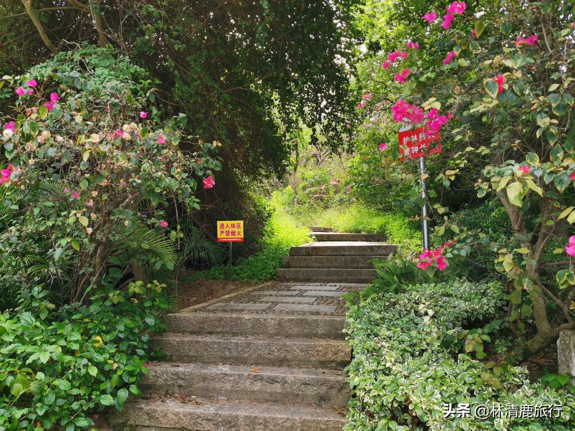鼓浪屿最值得去的一个地方,为什么鼓浪屿那么有名气