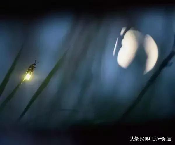 晨读|秋从何处来？