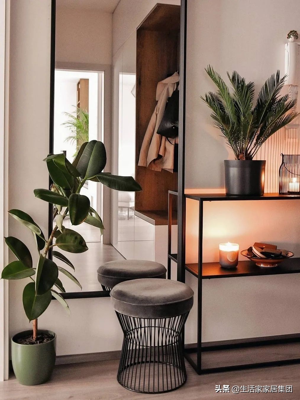 装修极简主义的室内植物搭配,家居植物现代风推荐