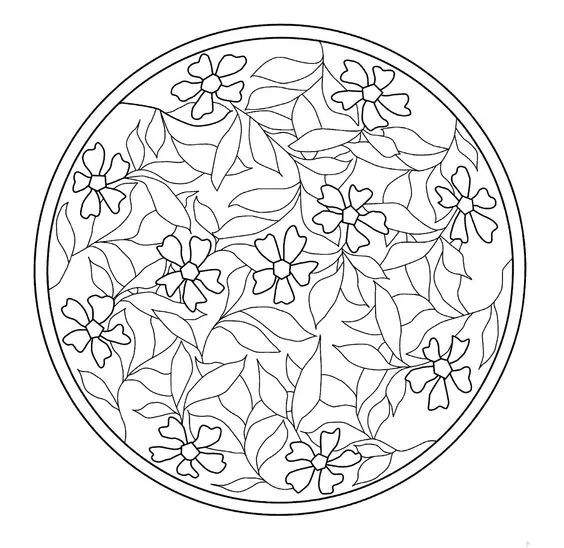 画画入门教程干货博主,基础入门画画必知