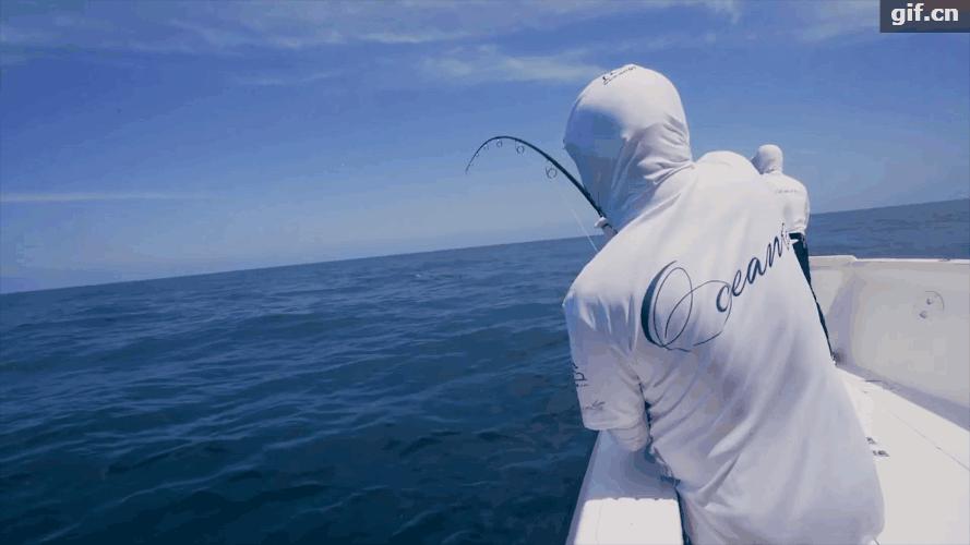 7.2米达亿瓦鱼竿推荐,日本原装进口达亿瓦鱼竿