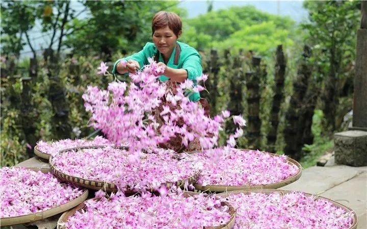 遵义市县区脱贫顺序,遵义的贫困县有哪些