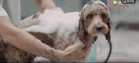 谢谢你治好了我的心脏,谢谢你治好了我的低血压