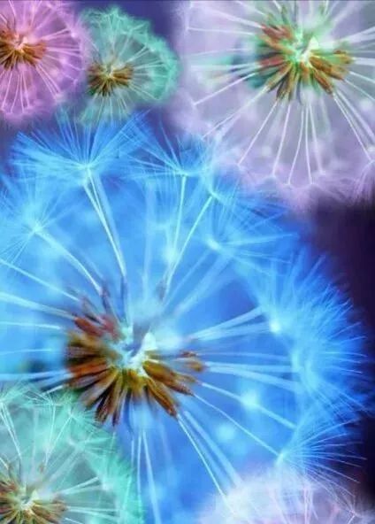 与儿子在家聊天,与儿偶遇诗句