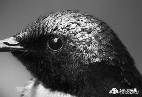 拍的照片没有层次感,拍出的效果没有实物效果