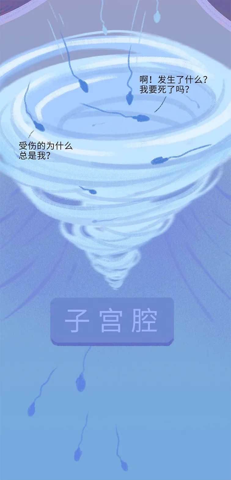 精子进入人体24小时变化,精子在人体24个小时都经历了什么