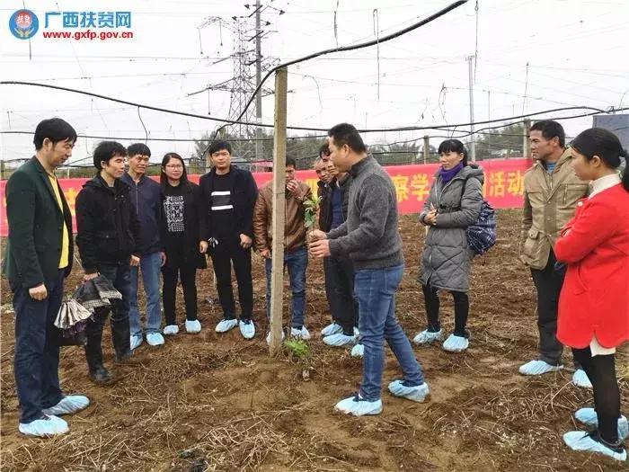 广西河池长寿新闻,河池是中国第一个长寿市吗