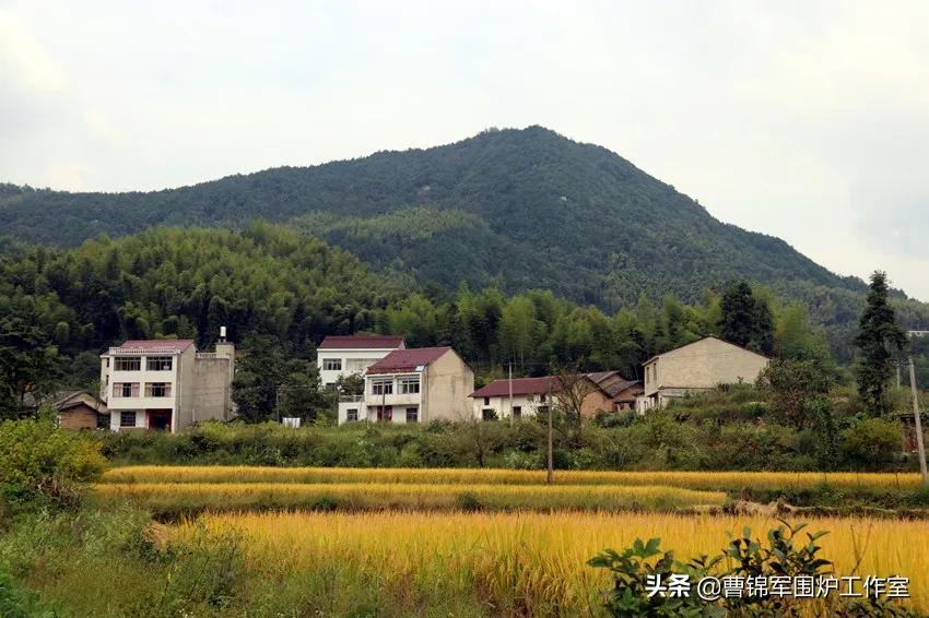 大美黄梅背面,大美黄梅作品