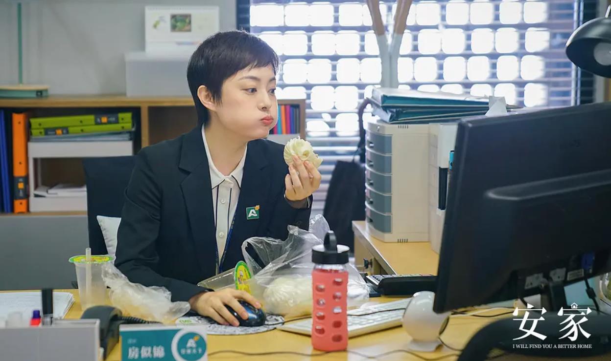 安家后续深度解析,安家透露出的问题