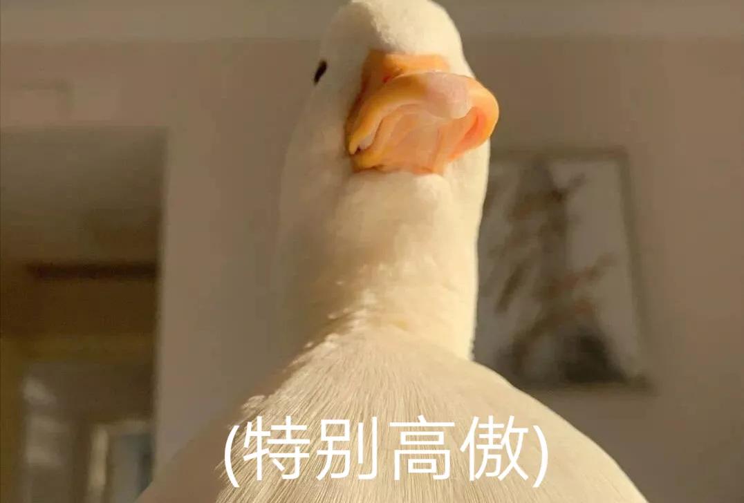 搞笑表情包结尾定格,搞笑表情包告辞