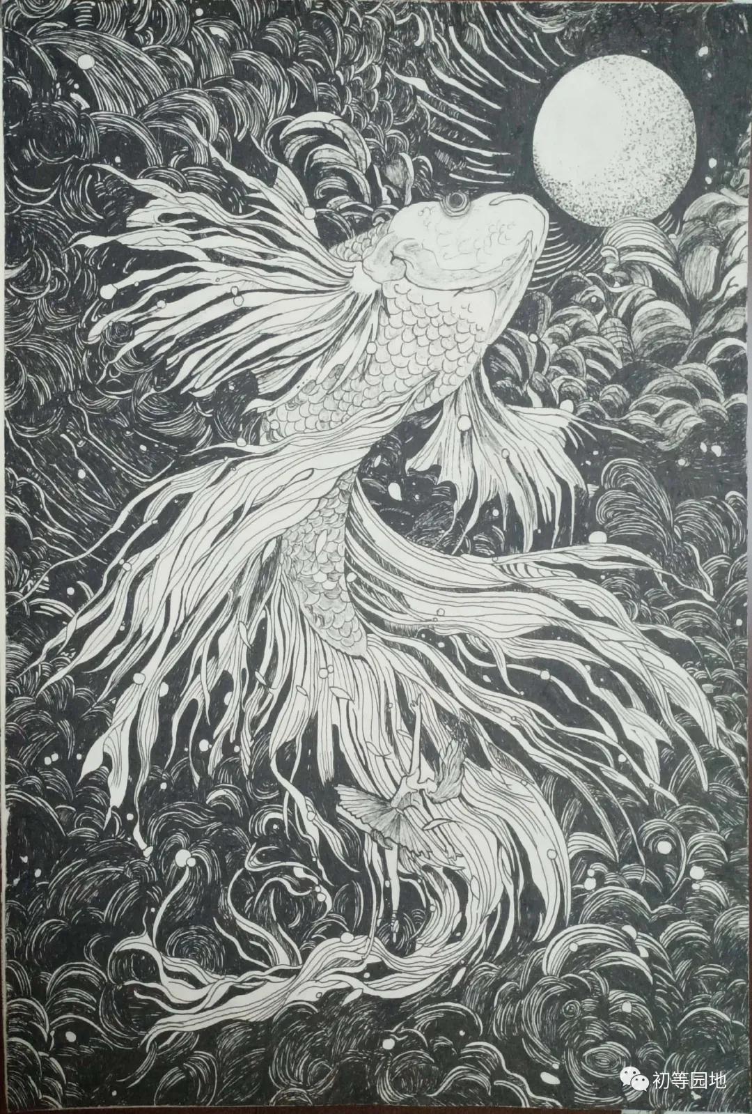 公立学校招生宣传工作,招生宣传片小学教育专业