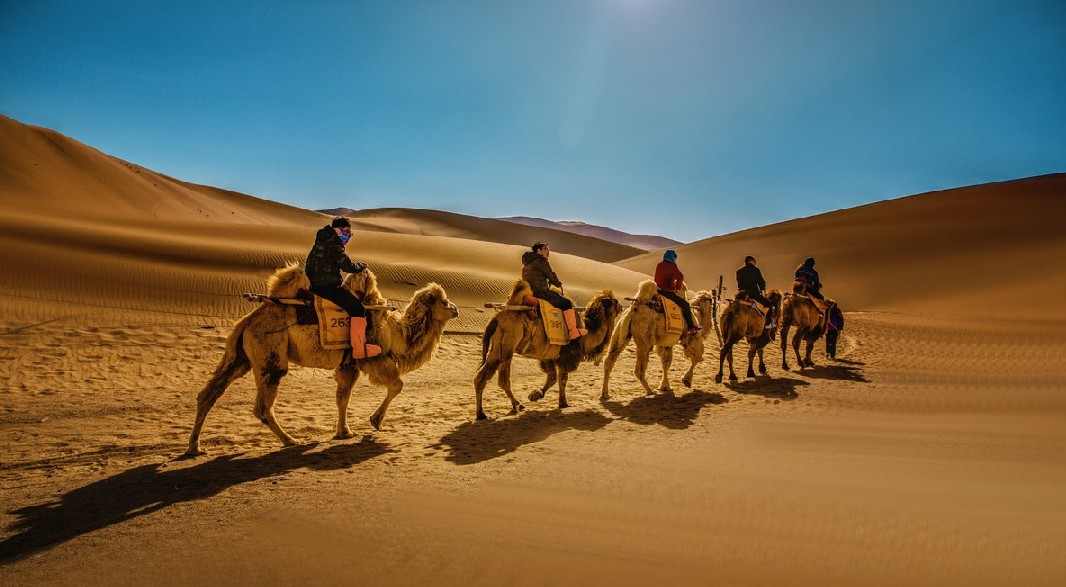 敦煌历史文化艺术,中华传统文化敦煌