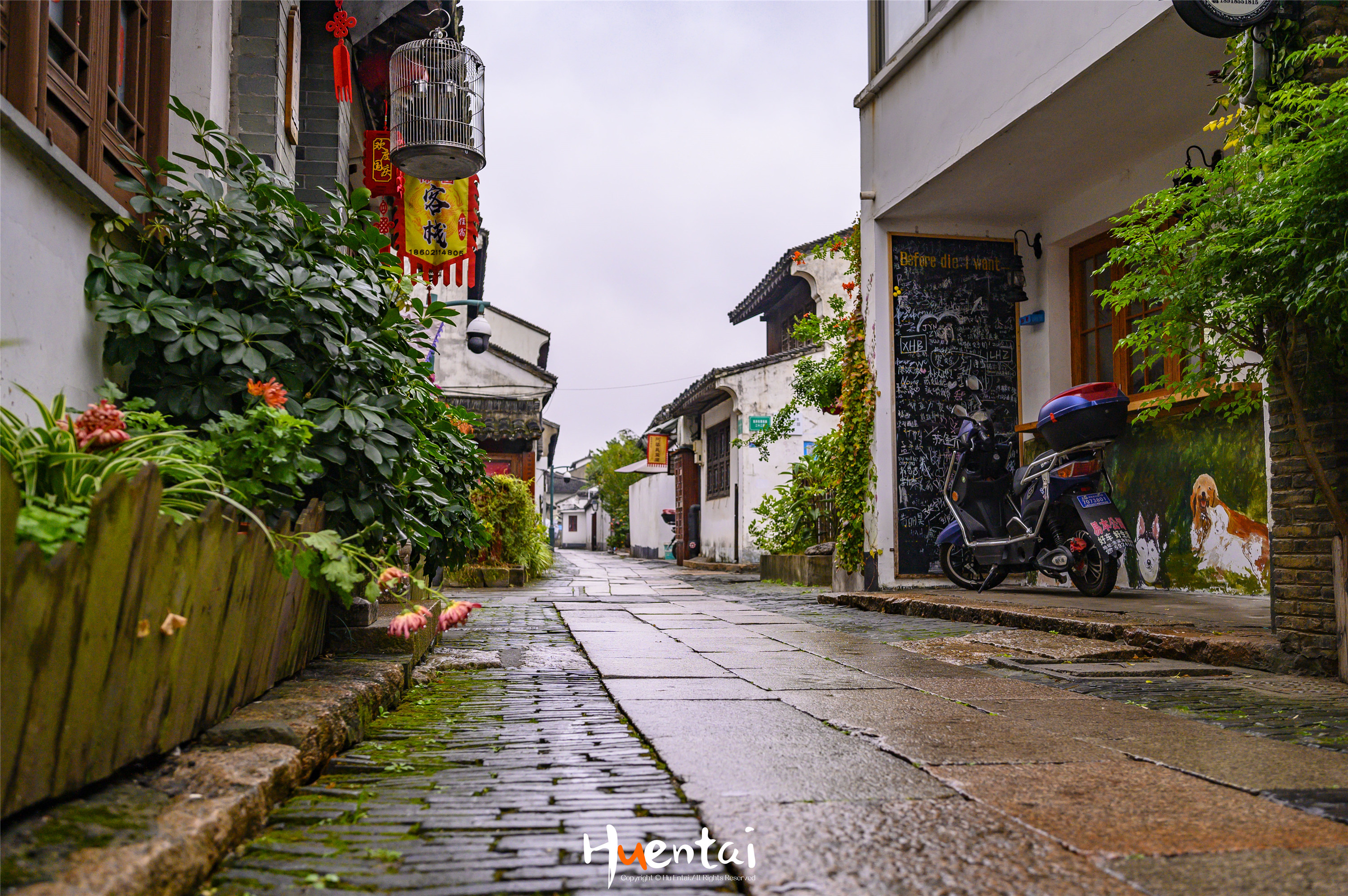 江浙上海免费古镇,离上海最近的江南古镇