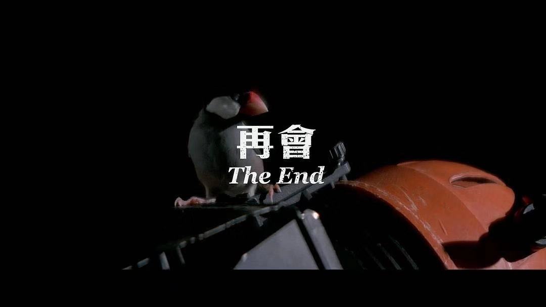 银河映像Ⅲ:前路漫漫,银河相伴