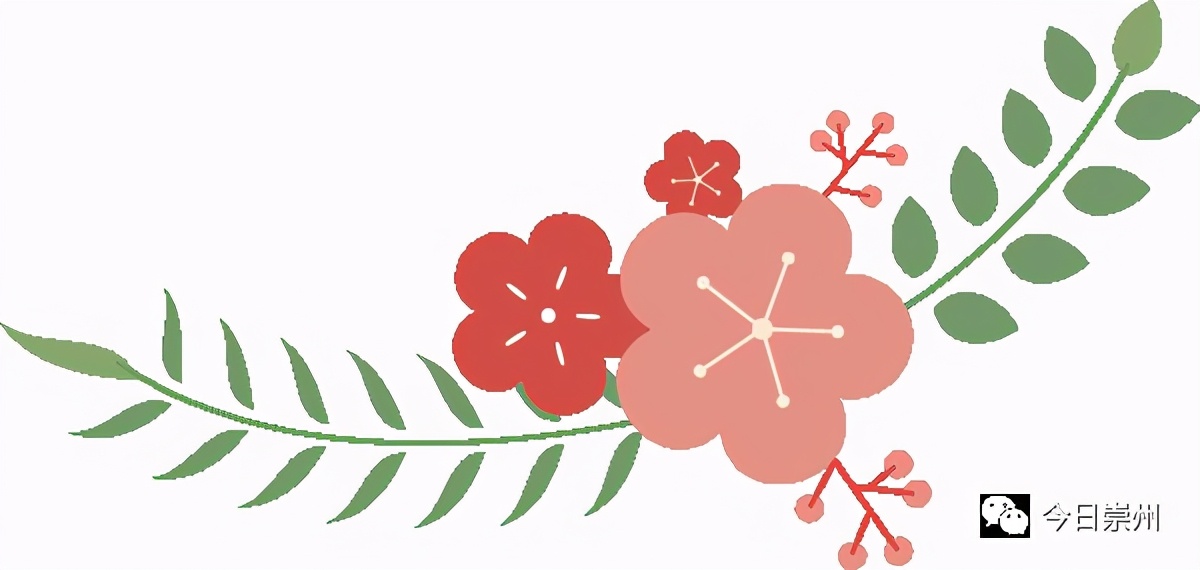 巾帼绽芳华逐梦新时代朗诵,巾帼绽芳华逐梦新时代