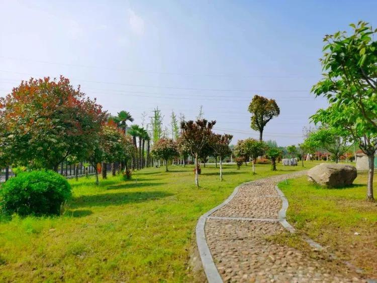 @亲爱的浠水思源学子：疫散花开，等你回来！