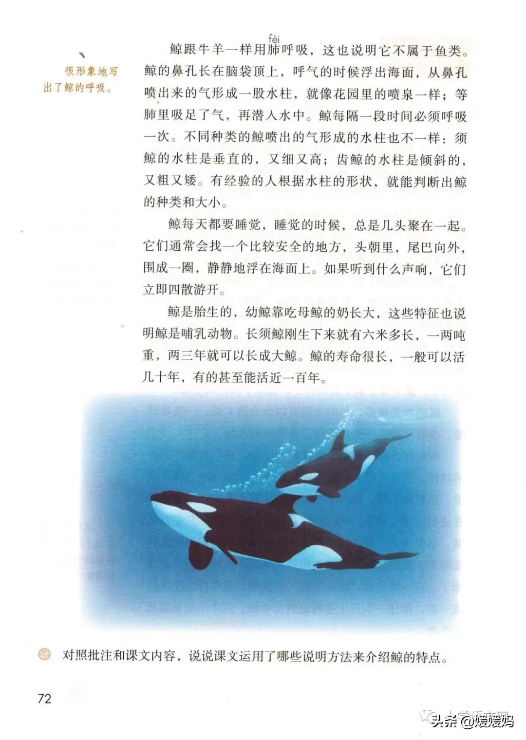 2020秋季五年级语文电子书,2020年五年级上册语文期中测试卷