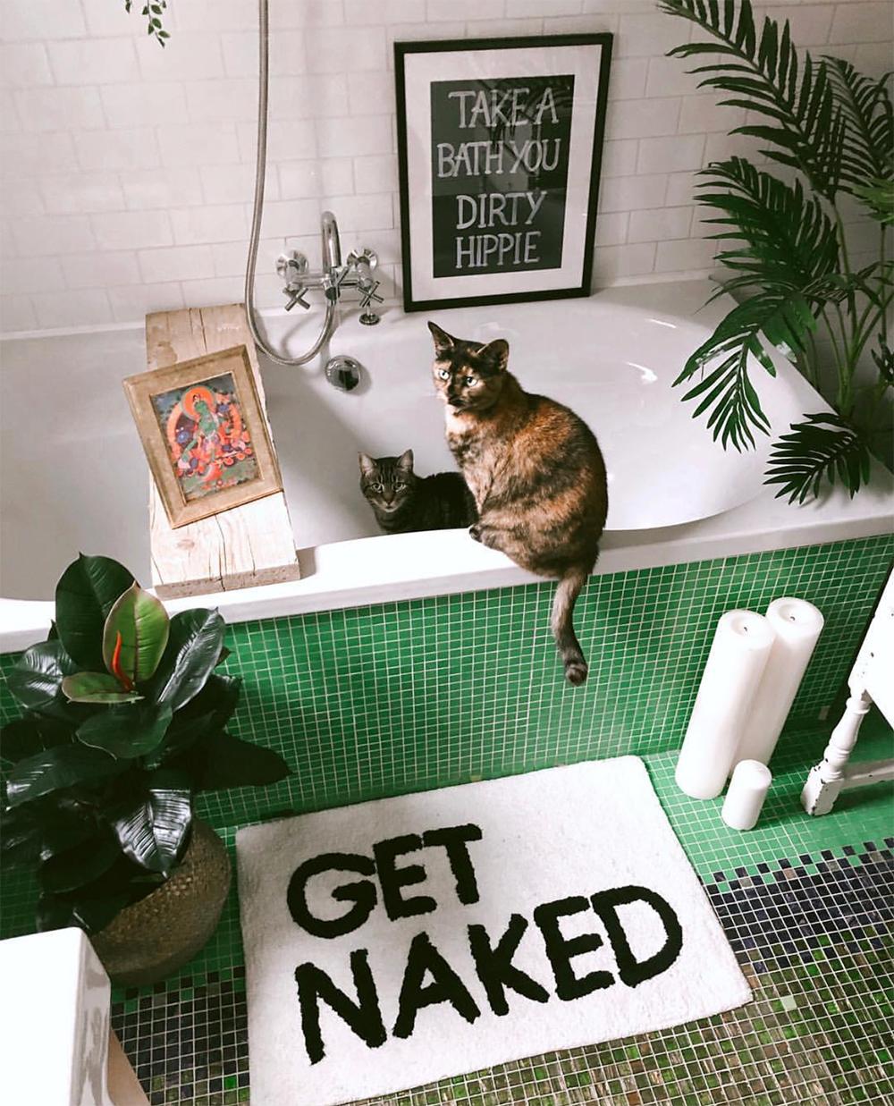 韩雪明星推荐好物,韩雪好物