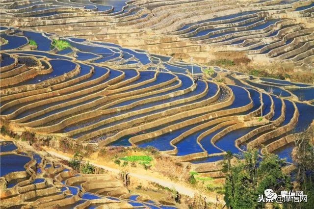 刘智远：摩托江湖的行者