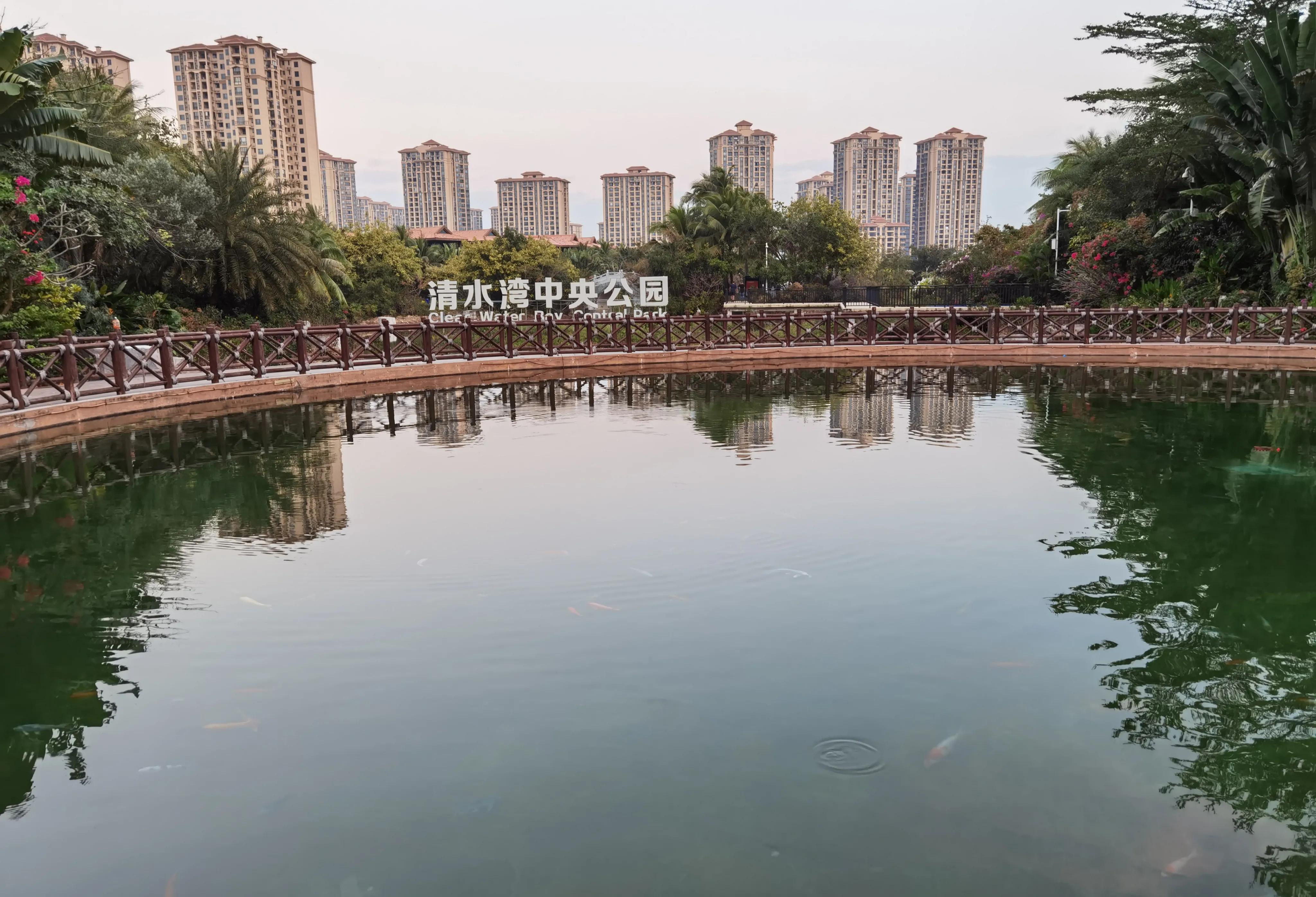 适合猫冬养老旅居好去处,海南东方旅居攻略