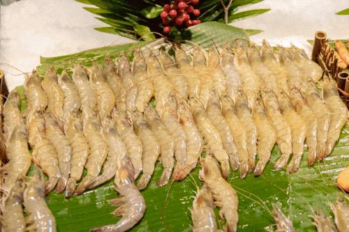 上海788元的海鲜自助到底值不值,上海海鲜自助第一名