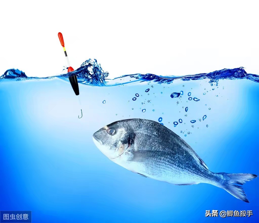 矶竿适合用什么钓法,矶竿钓法和技巧视频