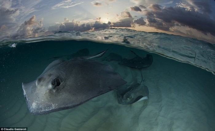 十分钟教你玩转高级感的摄影,都是干货